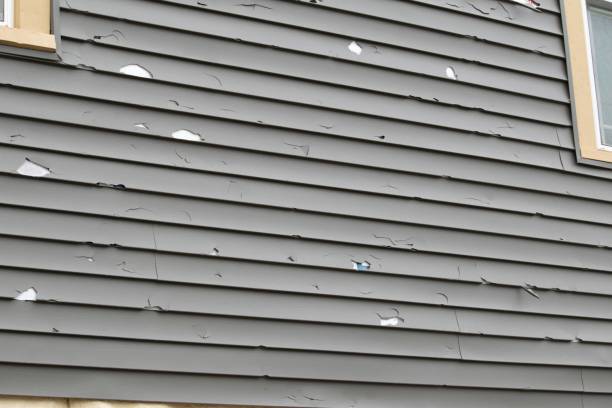 Best Steel Siding Installation  in Haynesville, LA