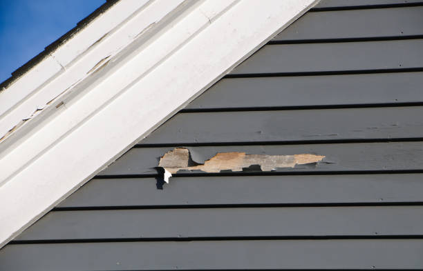  Haynesville, LA Siding Installation & Repair Pros