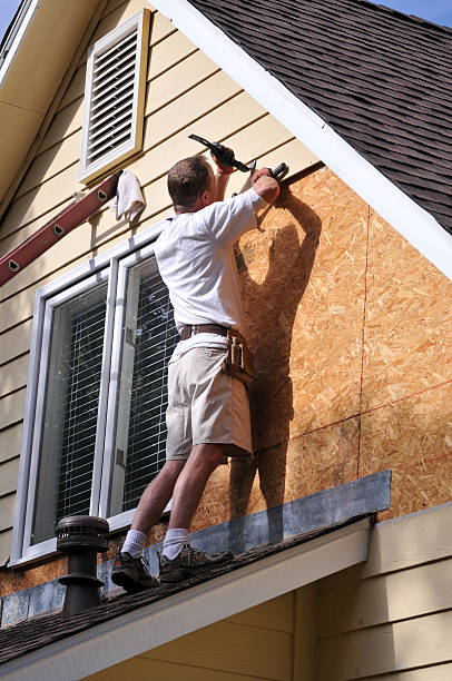 Best Siding Painting and Refinishing  in Haynesville, LA