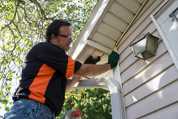 Best Historical Building Siding Restoration  in Haynesville, LA